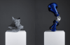 OrthoVoxel 3Dӡg(sh)y(tng)Cx֫a(chn)ʽ