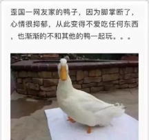 3dӡ_ƵĶ