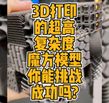 (zhn)ߏsȵ3Dӡħģ͔(sh)